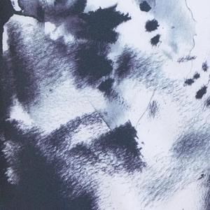 Shorts décontractés pour hommes 100% coton Texture douce Léger Coupe performante pour la salle de sport Entraînement de course à pied Sports de plein air Entraînement quotidien - Product Image 5