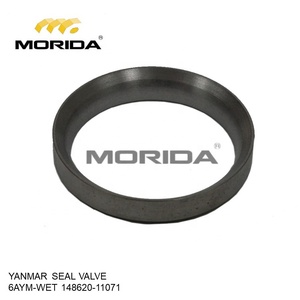 Siège de soupape 6AYM 12AYM INTAKT pour YANMAR 14862011071 - Product Image 4