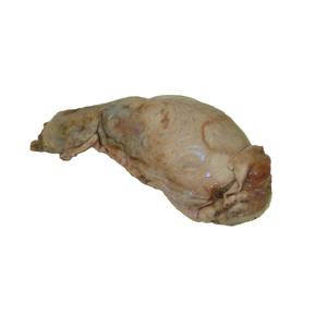 Testículo de vaca congelado de alta calidad disponible - Product Image 2