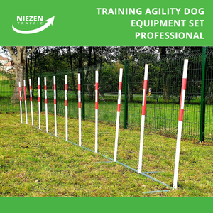 Slalom Chien Agilité 12 Pegs Équipement Professionnel Train Structure Animal Bien-être Coordination Canine Pet Setup Chien Fitness Sport - Product Image 2