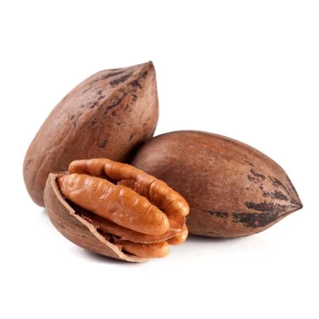 Pecan Nuts Pecana 고품질 신선한 껍질을 벗긴 대량 작풍 포장 유기 근원 유형 말린 급료 제품 식사