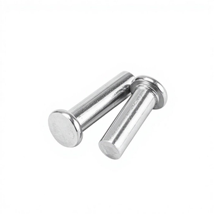 Rivets solides en acier inoxydable 304, tête plate ronde polie M2-M20 - Product Image 1