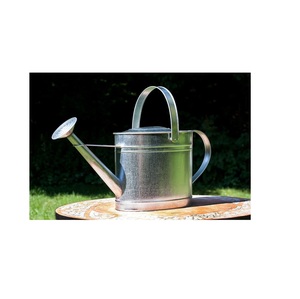 Lata de agua de diseño extremadamente bueno, regadera galvanizada hecha a mano con mango superior móvil a buen precio - Product Image 5