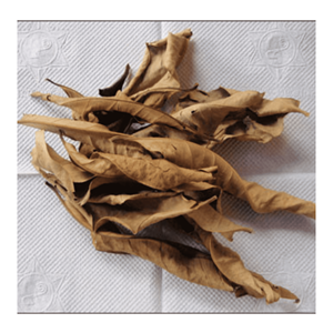 Hoja de Guayaba Seca, Material Natural de Follaje de Guayaba, Apta para Té de Hojas Sueltas y Formulación de Bebidas, de Vietnam - Product Image 6