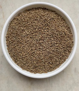 Ajwain Orgánico de Proveedor Indio, Especia Natural para Sazonar o para Platos Indios y Salud Digestiva, Disponible a Precio de Fábrica - Product Image 1