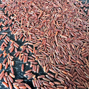 [Keith Vilaconic] Riz rouge long grain de qualité supérieure |   Le bien-être des céréales complètes pour un mode de vie sain |   Approvisionnement en gros - Product Image 2