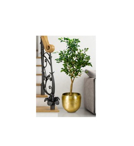 กระถางโลหะทรงกลมสีทองทรงกลมเหมาะอย่างยิ่งสำหรับการโชว์เฟิร์นในร่มหรือพืชฟอกอากาศในมุมที่ทันสมัย - Product Image 1