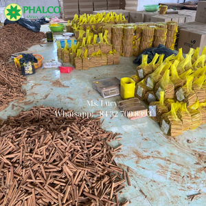 Palo de Vietnam de alta calidad Cassia canela venta al por mayor precio bajo sabor picante procesamiento seco crudo para exportación - Product Image 6