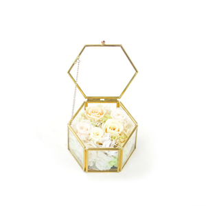 Caja de anillo con forma de Heaxgon de borde de latón de vidrio transparente de calidad superior, caja de pendientes de baratija de almacenamiento de joyas, precio razonable, Color dorado - Product Image 1