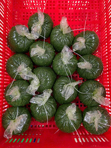 ใบมันสำปะหลังบดแช่แข็งจากเวียดนาม - Product Image 5