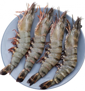 Venta de camarón tigre negro fresco congelado, camarón tigre negro, camarón tigre negro, embalaje OEM, Exportación a granel al mercado japonés - Product Image 6