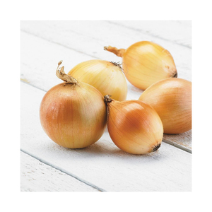 Cebolla amarilla fresca al por mayor cebolla redonda a buen precio - Product Image 5