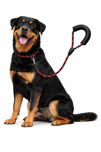 Laisse pour chien en nylon robuste à rayures, réglable, avec poignée rembourrée douce, fabricant OEM - Product Image 5