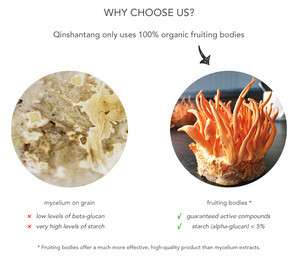 Bổ sung polysaccharides Cordyceps nấm chiết xuất bột qinshantang Cordyceps Militaris Sinensis chiết xuất bột - Product Image 3