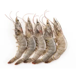 Top quality Fresh Frozen Vannamei Shrimps Live Eels Delicious Seafood