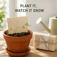 Tarjeta de Instrucciones de Papel Sembrable con Logotipo Personalizado, Tarjeta de Instrucciones para Plantar, Guía de Marcaje de Jabón Impresa Personalizada al por Mayor
