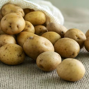 Pommes de terre fraîches Solanum Tuberosum de qualité supérieure, de style long et de forme standard, nouvelle récolte, disponibles en vrac, durée de conservation de 12 mois - Product Image 1