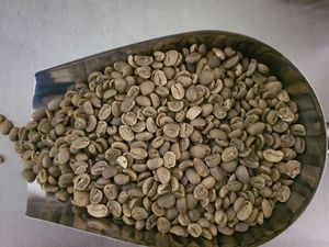 Viet Nam Orgánica Robusta Granos de café verde Mezclado WA0084972678053 El mejor tipo de Arábica del mundo para perder peso tostado - Product Image 6