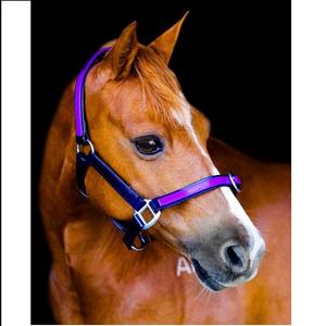 COLLIER PVC-MARINE FONCÉ & VIOLET plié - Product Image 1