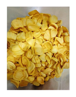 Premium Gedroogde Jackfruit Knapperig Tropisch Fruit Zoete Gouden Plakjes Authentieke Natuurlijke Snack Beschikbaar Voor Bulkgroothandel