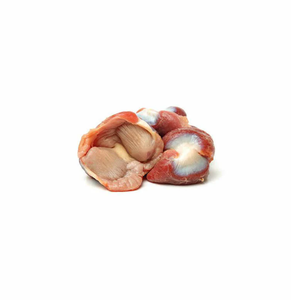 Halal Turkey Gizzards Fresh Frozen Carefully Processed Turkey Gizzard <b>Meat</b> For Food Service And Retail Supply - Product Image 1