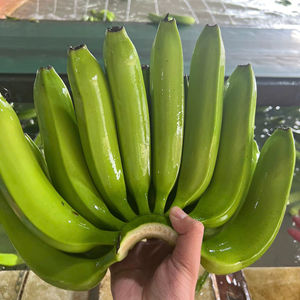 Highland Cavendish <b>Bananas</b> from Vietnam Sweet Taste Bright Yellow Skin Packed <b>Fresh</b> for Export Markets - Product Image 1