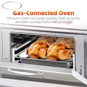 Estufa Comercial a <span class=keywords><strong>Gas</strong></span> con Horno, 4 Quemadores y <span class=keywords><strong>Plancha</strong></span> para <span class=keywords><strong>Cocina</strong></span> de Restaurante - Product Image 2