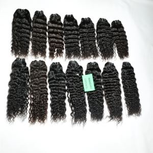 Extensions de Cheveux Humains de Temple Indien Bouclés Non Traités, Extensions de Cheveux Vierges Remy Naturels de Meilleure Qualité - Product Image 1