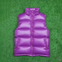 Chaleco Acolchado de Último Diseño a Precio de Mayoreo, MOQ Bajo, Chaleco Acolchado sin Mangas para Hombre, Chaleco Acolchado con Logotipo Personalizado Impreso en Venta