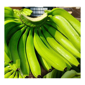 Nouvelle récolte 2025 - Banane Cavendish - Prix d'usine du Vietnam Banane fraîche pour l'exportation de fruits frais du Vietnam à bon prix - Product Image 5