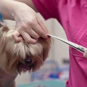 Tijera de acero alemán para el cuidado del cabello de mascotas, 7,5 ", acabado de espejo, tornillo ajustable y soporte para los dedos fijo con Funda de cuero PU - Product Image 6