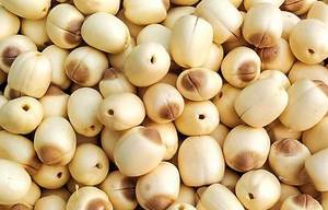 SEMILLA DE LOTO SECA/ETIQUETA LIMPIA/BAJA EN GRASA/RICA EN VITAMINAS - Product Image 6
