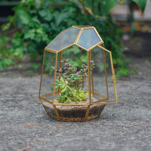 Top vente décoration de la maison en laiton Mini verre géométrique Terrarium Vase verre clair noir fini pour la décoration de table et la décoration de la maison - Product Image 4