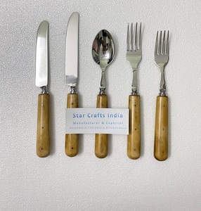 Acheter Direct Factory Set de table en acier inoxydable poignées en résine couverts service cuillère Set 5 pièces fabricant indien en acier miroir - Product Image 4