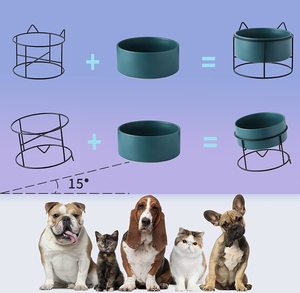 Prix de gros Bol pour chat en porcelaine de haute qualité Design surélevé pour petits chiens Nouveau Top Tendance Nourriture pour chat large incliné Métal - Product Image 5