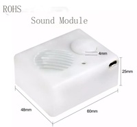 Repetidor de voz OEM personalizado para peluches, USB, audio, MP3, ordenador, el más vendido, 2023