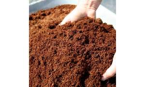 Organic Compressed Cocoa Coir Bricks Eco-friendly Large Growing Media Coconut Peat Briquettes China Baina CCPTR-650CP01 - Product Image 3