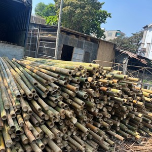 Wholesale 100% Natural Raw Bamboo Sticks <b>Poles</b> Agriculture Large With Different Size Bamboo Stake - Product Image 4