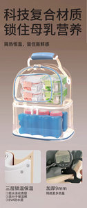 Multi-Compartment Insulated Breast Pump Backpack and <b>Lunch</b> Bag <b>Set</b> for Work School Travel with Thermal Storage an Stylish Design - Product Image 6