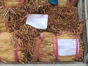 Jacinto de agua seca para hacer artesanías Pacas de jacinto de agua seca Cantidad a granel Listo para exportar Origen de Vietnam - Product Image 3