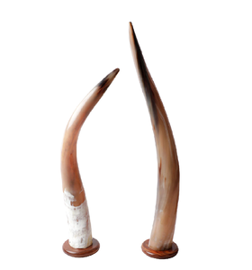 Support de présentation décoratif moderne en corne de buffle naturelle et écologique pour salon et chambre à coucher, 2 pièces, tailles personnalisées disponibles - Product Image 3