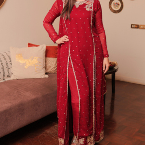 Vestido de Fiesta Formal Sin Costuras Más Vendido para Mujer, Nuevo Diseño de Salwar Kameez de Longitud Regular 2025 - Product Image 3