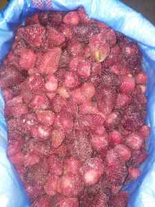 Iqf-producto más nuevo de grado B, fresa Fresca y Romántica, comida de grado B, de Egipto, 2022 - Product Image 5