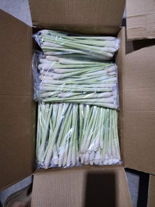 Paquete a granel de hierba de limón congelado de Vietnam Proceso IQF de buena calidad - Product Image 3