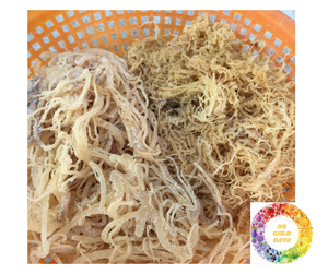 Vietnam <b>Sea</b> <b>Moss</b> Premium Bulk to Sale Dried Eucheuma Cottonii Irish Seaweed for Skin Digestion Support <b>Sea</b> <b>Moss</b> Export Now - Product Image 4