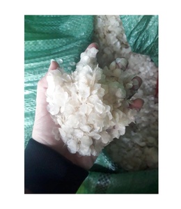 ÉCHELLES DE POISSON SÉCHÉES Fourniture en vrac Meilleur prix Écailles de poisson Tilapia nettoyé à sec au soleil Écailles de poisson Tilapia séchées au soleil - Product Image 1