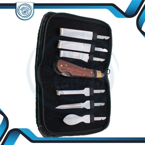 Kit de Herramientas Profesionales para el Cuidado de Pezuñas de Caballos, Juego de Herramientas de Acero Inoxidable para Recortar Pezuñas con Estuche de Transporte, Certificación CE ISO DDP - Product Image 2