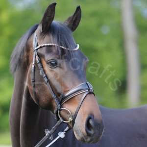 Brida de Doma con accesorios de oro rosa con Flash totalmente extraíble y tocado anatómico ajustable - Product Image 2