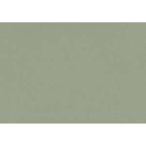 Producto de Piedra Sinterizada Premium Posidonia Green Silestone - Product Image 1