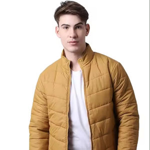 Doudoune d'hiver en polyester 100% personnalisée pour hommes avec fermeture à glissière avec col montant Manteau rembourré à bulles - Product Image 1